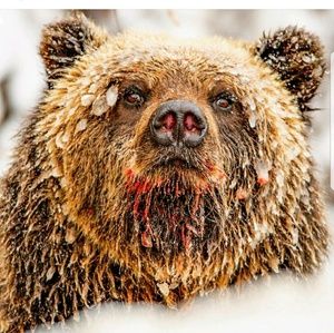 Meet your Posher, Brendan